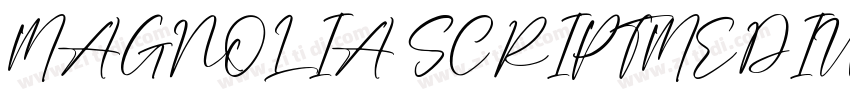 MAGNOLIA SCRIPTMEDIU字体转换